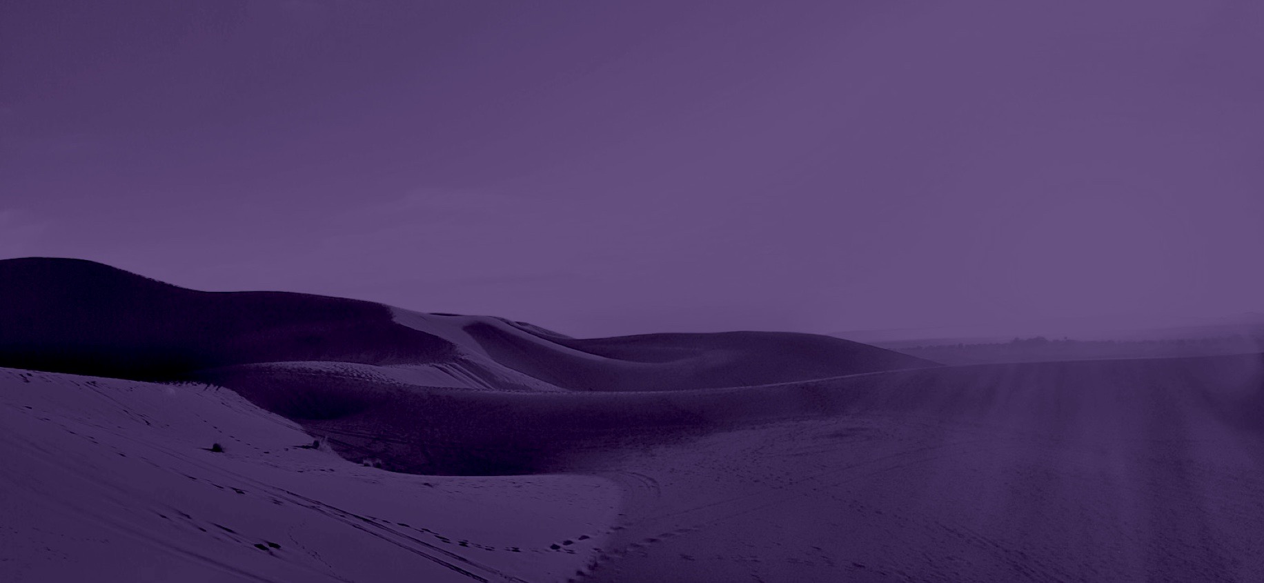 紫の砂漠